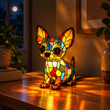 Stella | Lampada Magica per Cani
