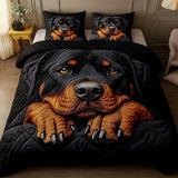 Gentle Gaze 3-Piece Bedding Set