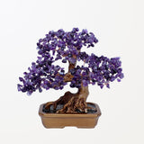 Vitalità - Albero della Vita in Amatista stile Feng Shui