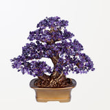 Vitalità - Albero della Vita in Amatista stile Feng Shui