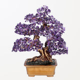 Vitalità - Albero della Vita in Amatista stile Feng Shui