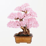 Vitalità - Albero della Vita in Quarzo Rosa stile Feng Shui
