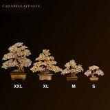 CasaBellaItalia