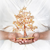 Serenità - Albero della Vita a Forma di Abete Citrino